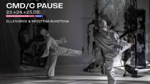 Mehr über den Artikel erfahren cmd/c PAUSE