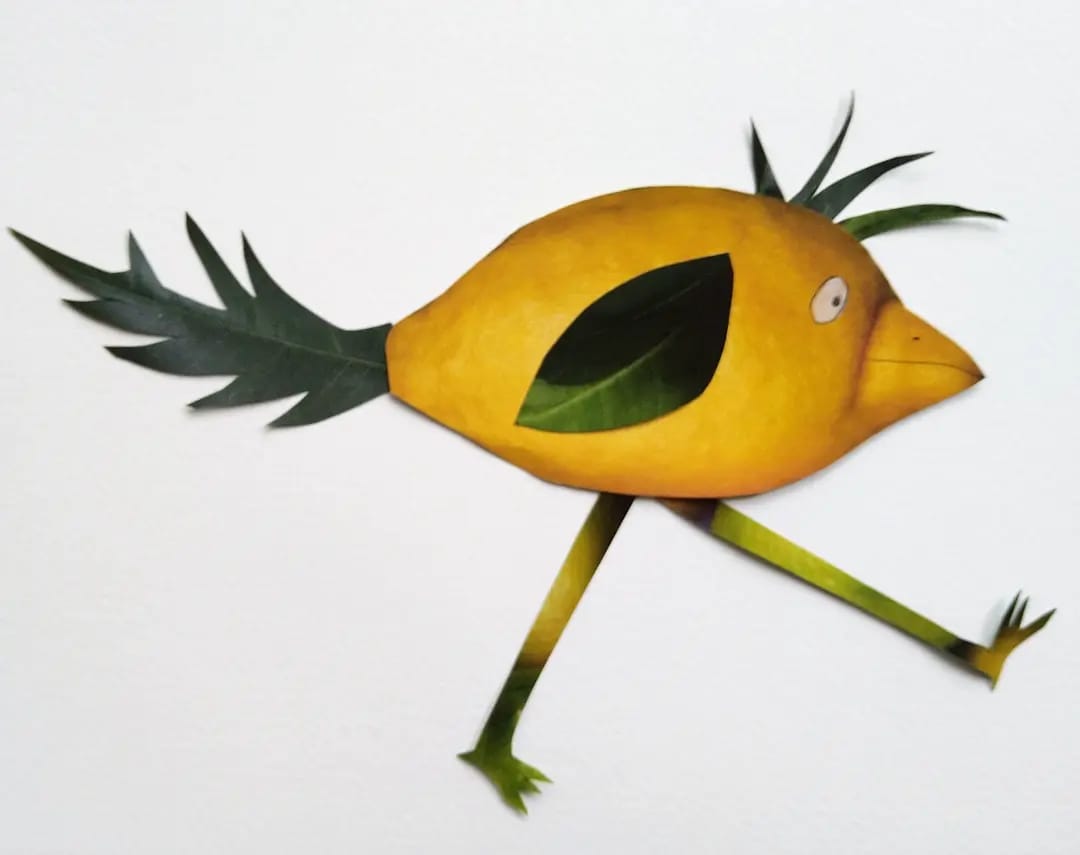 Mehr über den Artikel erfahren Von Amsel bis Zitronenstelze | Lesung von Juliane Blech | ab 5 Jahren | #VonTierenLernen