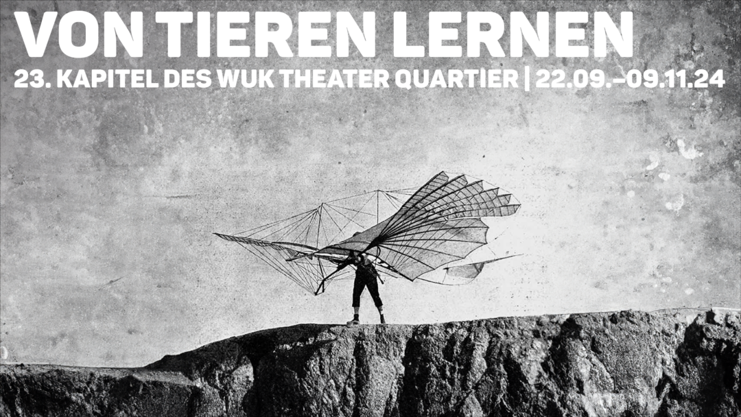 Mehr über den Artikel erfahren Von Tieren Lernen